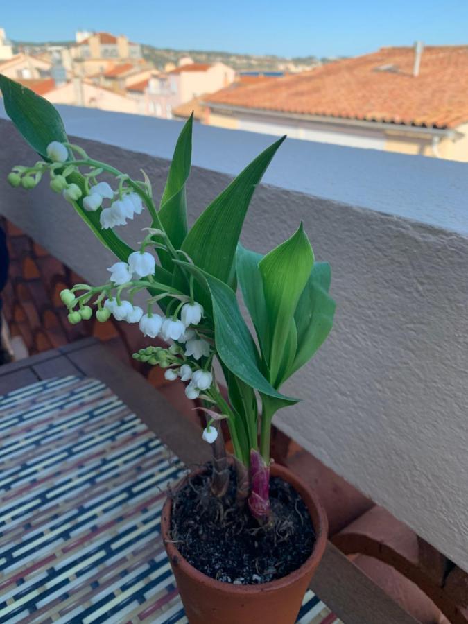 Face A La Appartement Bandol